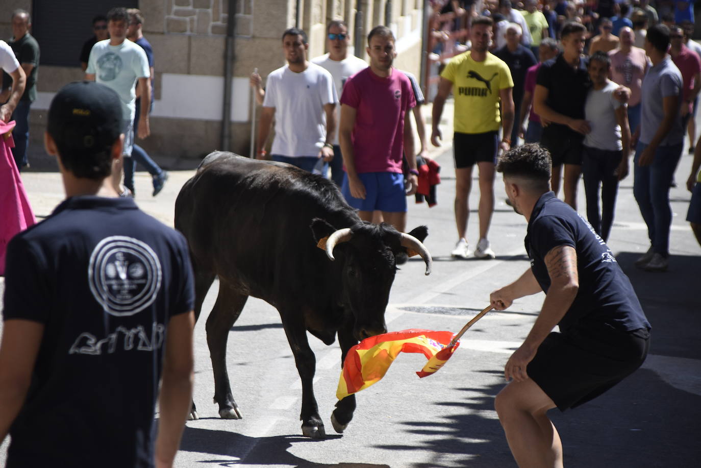 Día grande y muy taurino en Villavieja de Yeltes