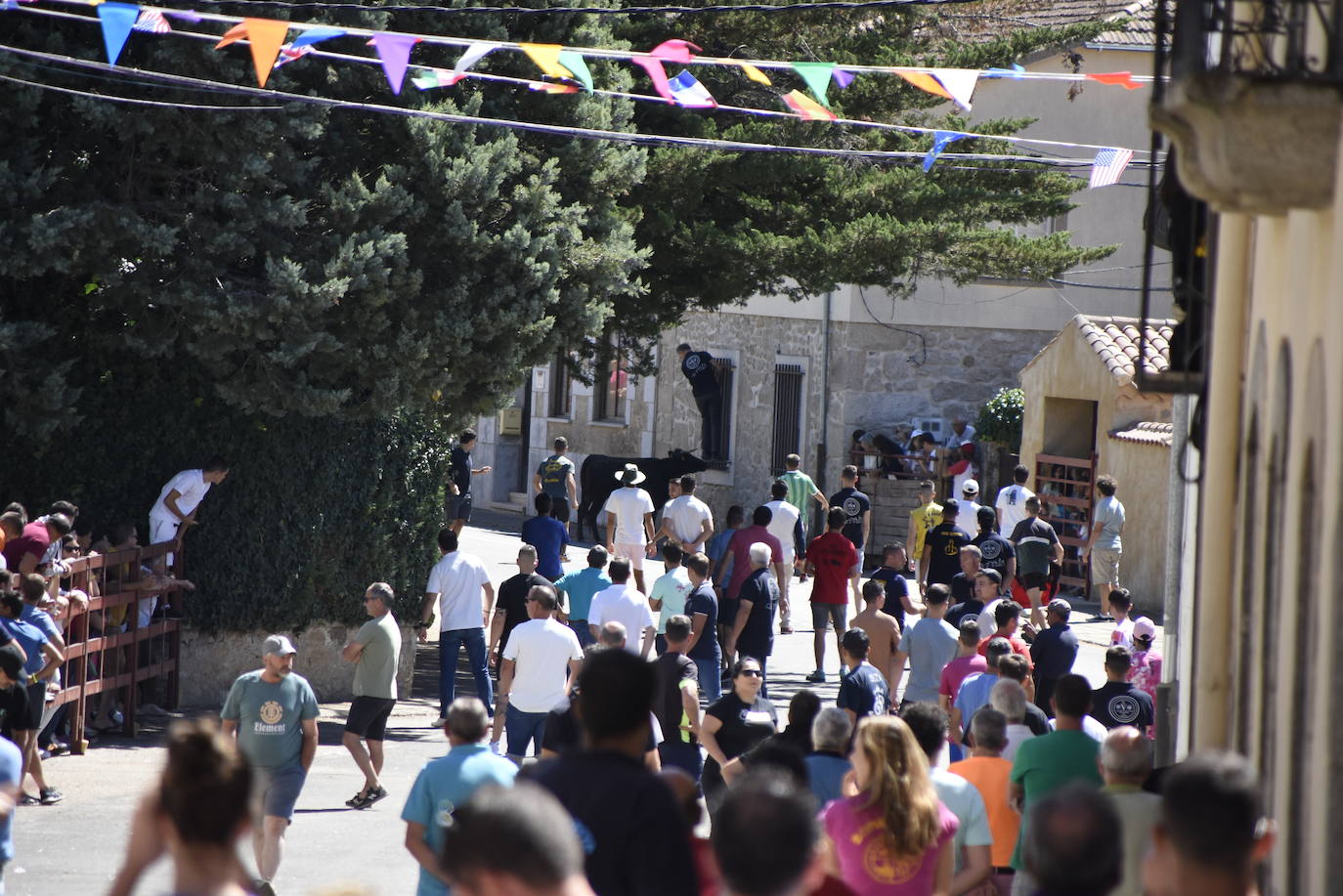 Día grande y muy taurino en Villavieja de Yeltes