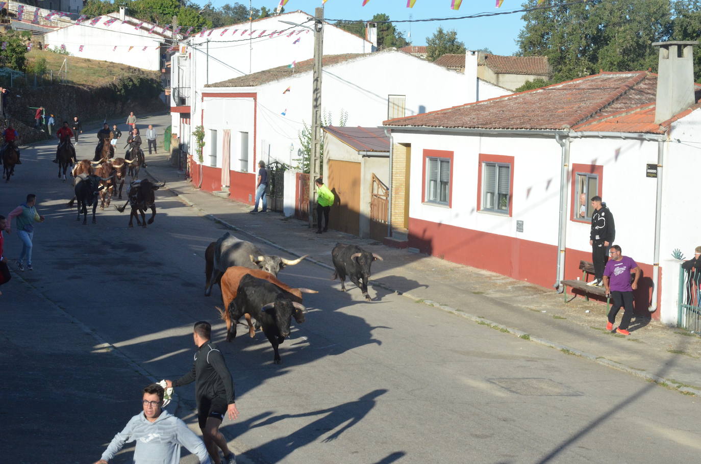 Precisión milimétrica en el penúltimo encierro a caballo de Aldeadávila de la Ribera