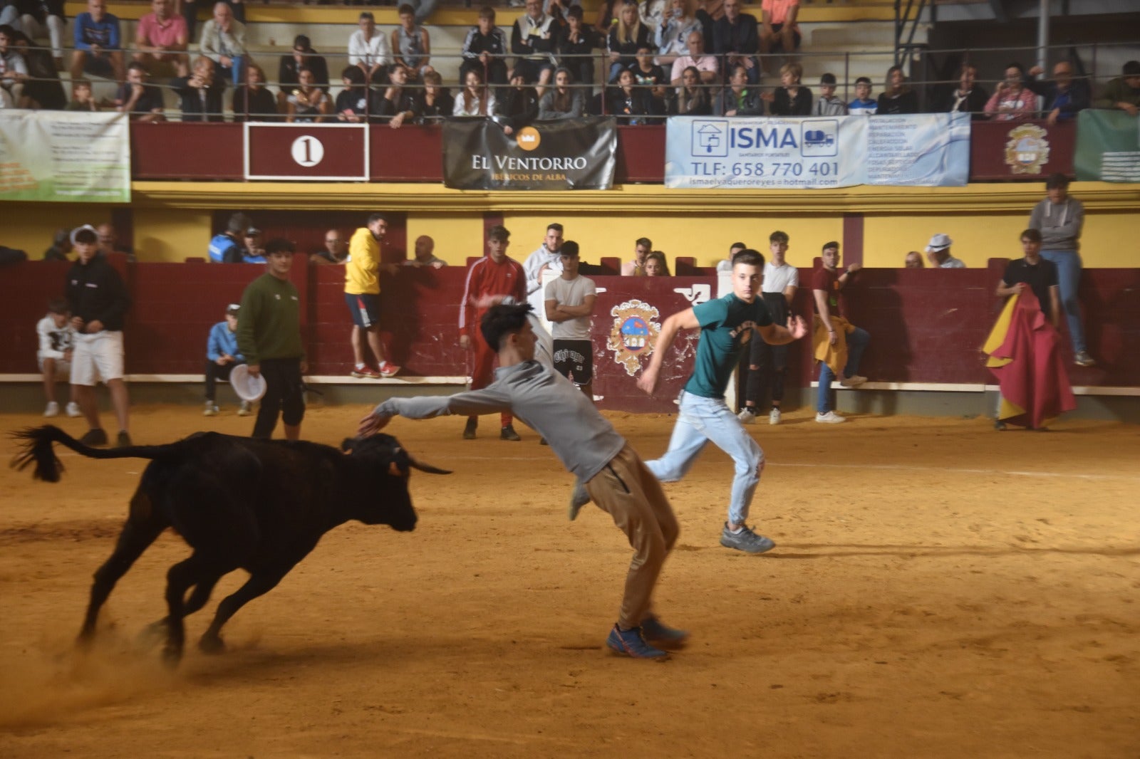 Chocolatada y encierro para abrir el día festivo en Alba de Tormes