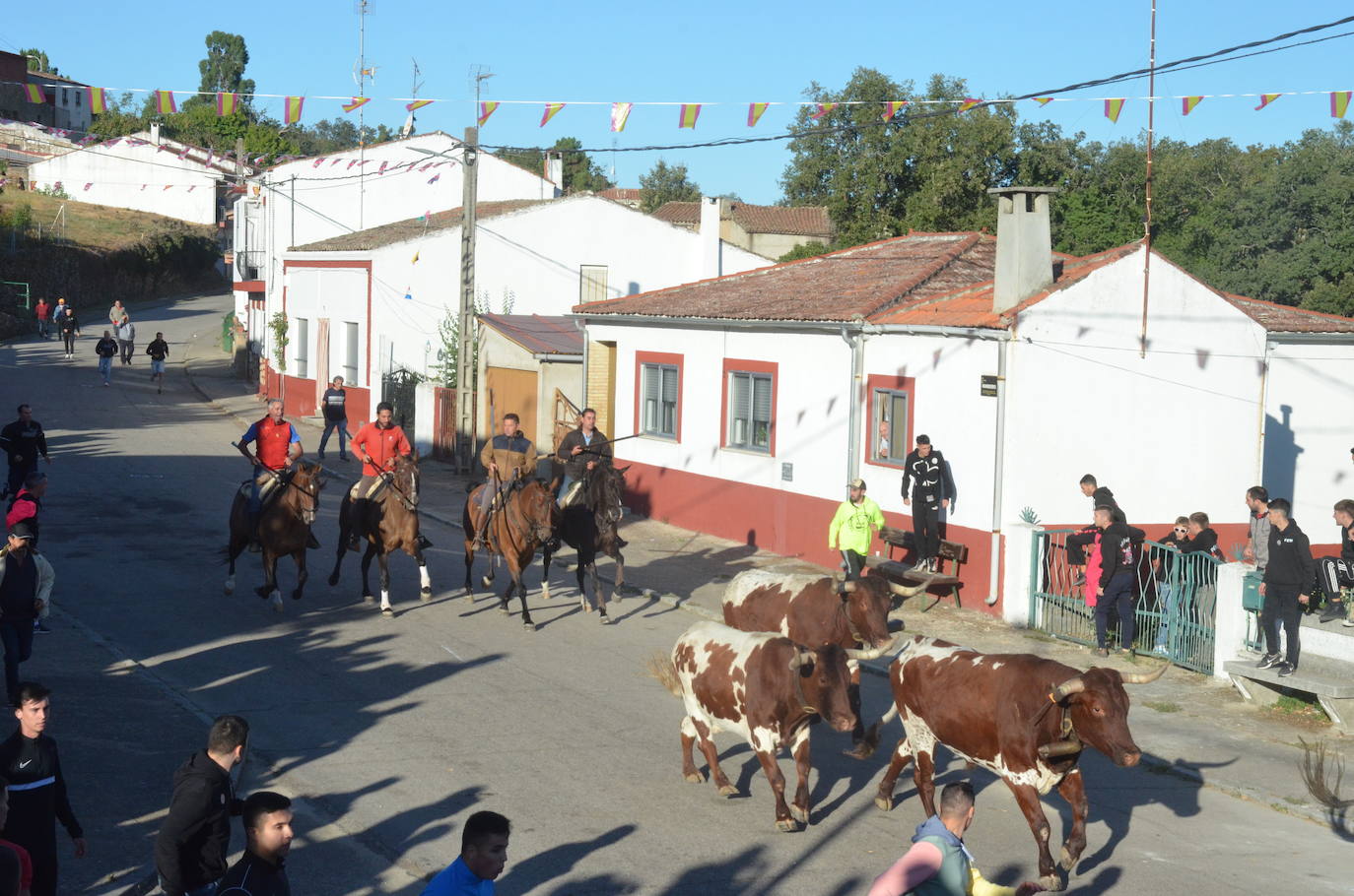 Precisión milimétrica en el penúltimo encierro a caballo de Aldeadávila de la Ribera