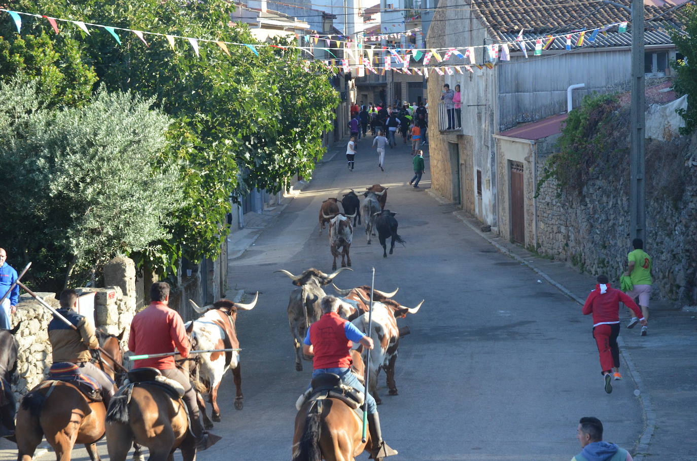 Precisión milimétrica en el penúltimo encierro a caballo de Aldeadávila de la Ribera