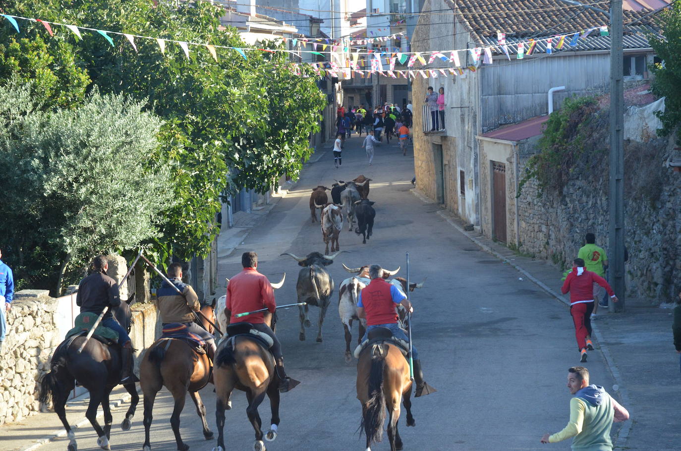 Precisión milimétrica en el penúltimo encierro a caballo de Aldeadávila de la Ribera