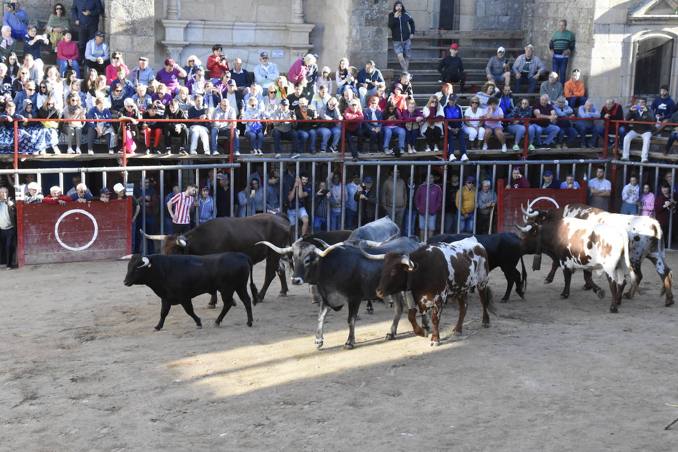 Las incombustibles peñas de Aldeadávila de la Ribera despiden las fiestas de San Bartolo