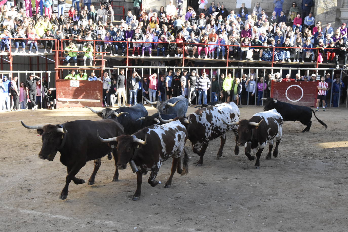 Las incombustibles peñas de Aldeadávila de la Ribera despiden las fiestas de San Bartolo