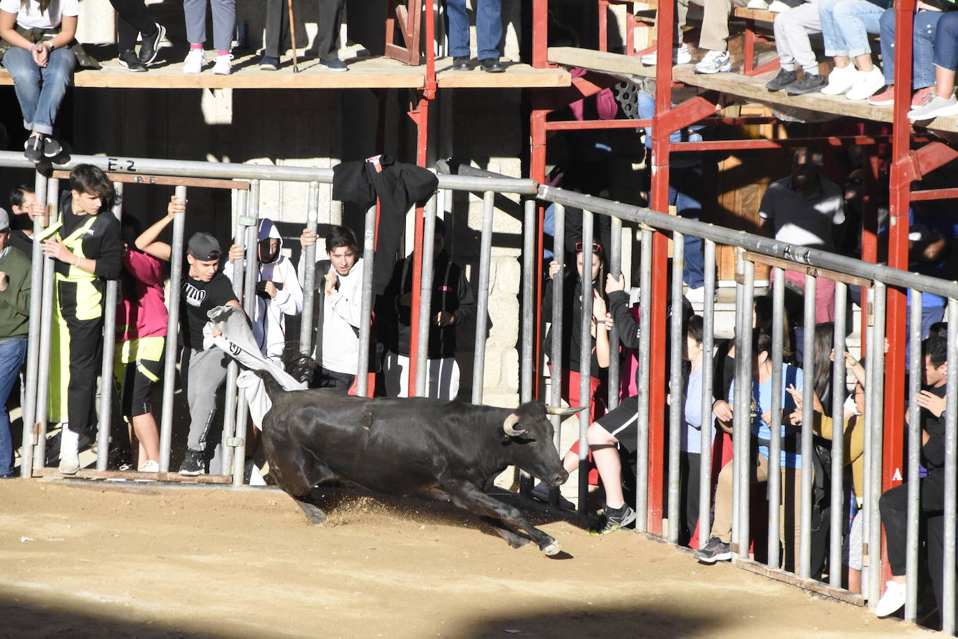 Las incombustibles peñas de Aldeadávila de la Ribera despiden las fiestas de San Bartolo