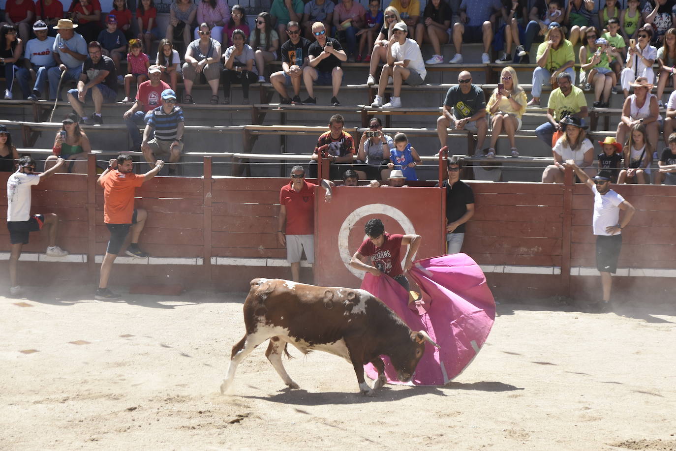 Honores, devoción y afición en Villavieja de Yeltes