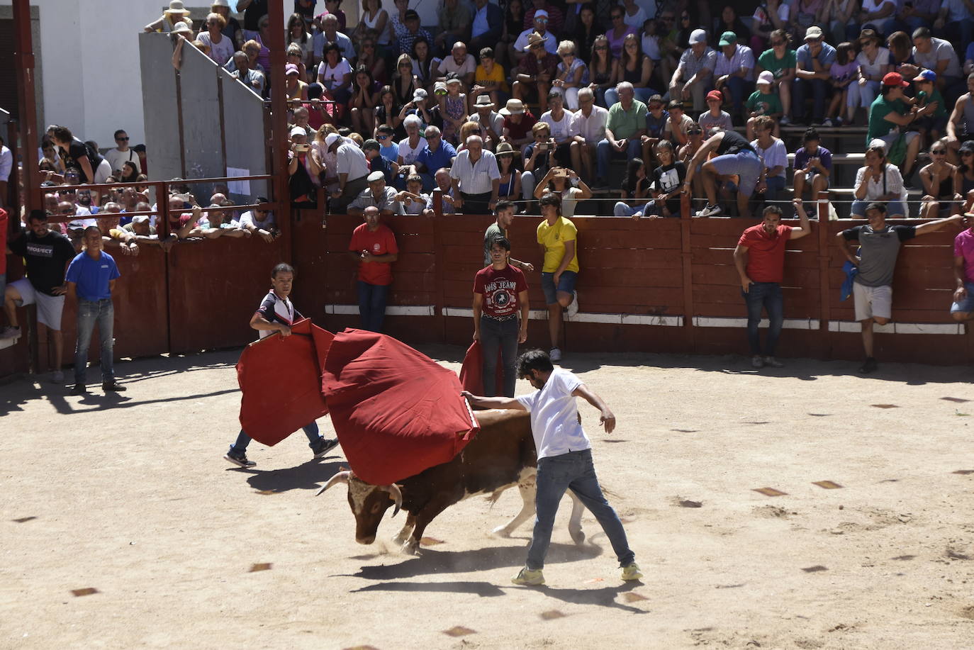 Honores, devoción y afición en Villavieja de Yeltes