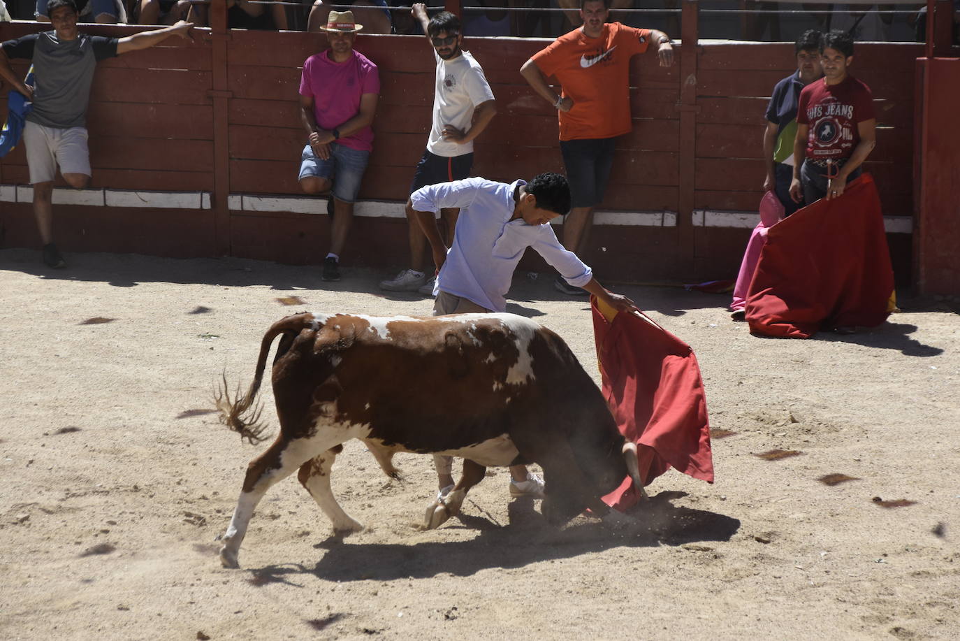 Honores, devoción y afición en Villavieja de Yeltes