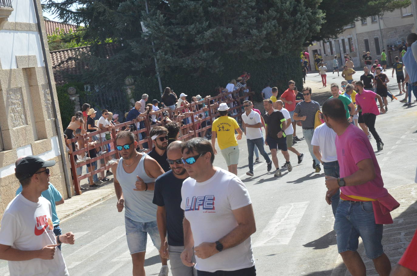 Villavieja de Yeltes respira adrenalina en el encierro a caballo