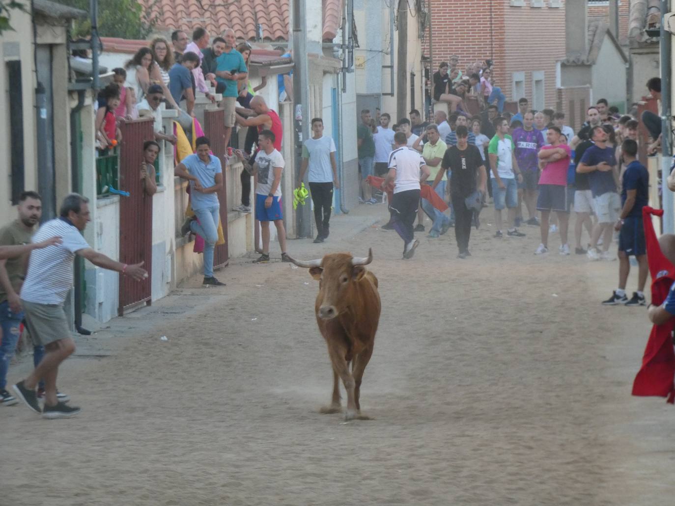 Multitudinario segundo encierro en Villaflores