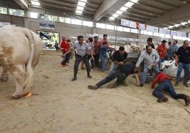 Varias personas cayeron al suelo debido al incidente.