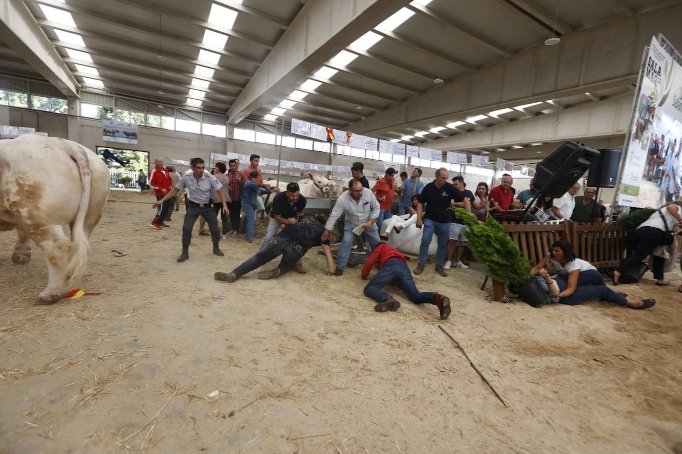 Varias personas cayeron al suelo debido al incidente.