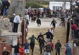 Rápida carrera de los mozos delante de los dos primeros novillos de Valdeflores