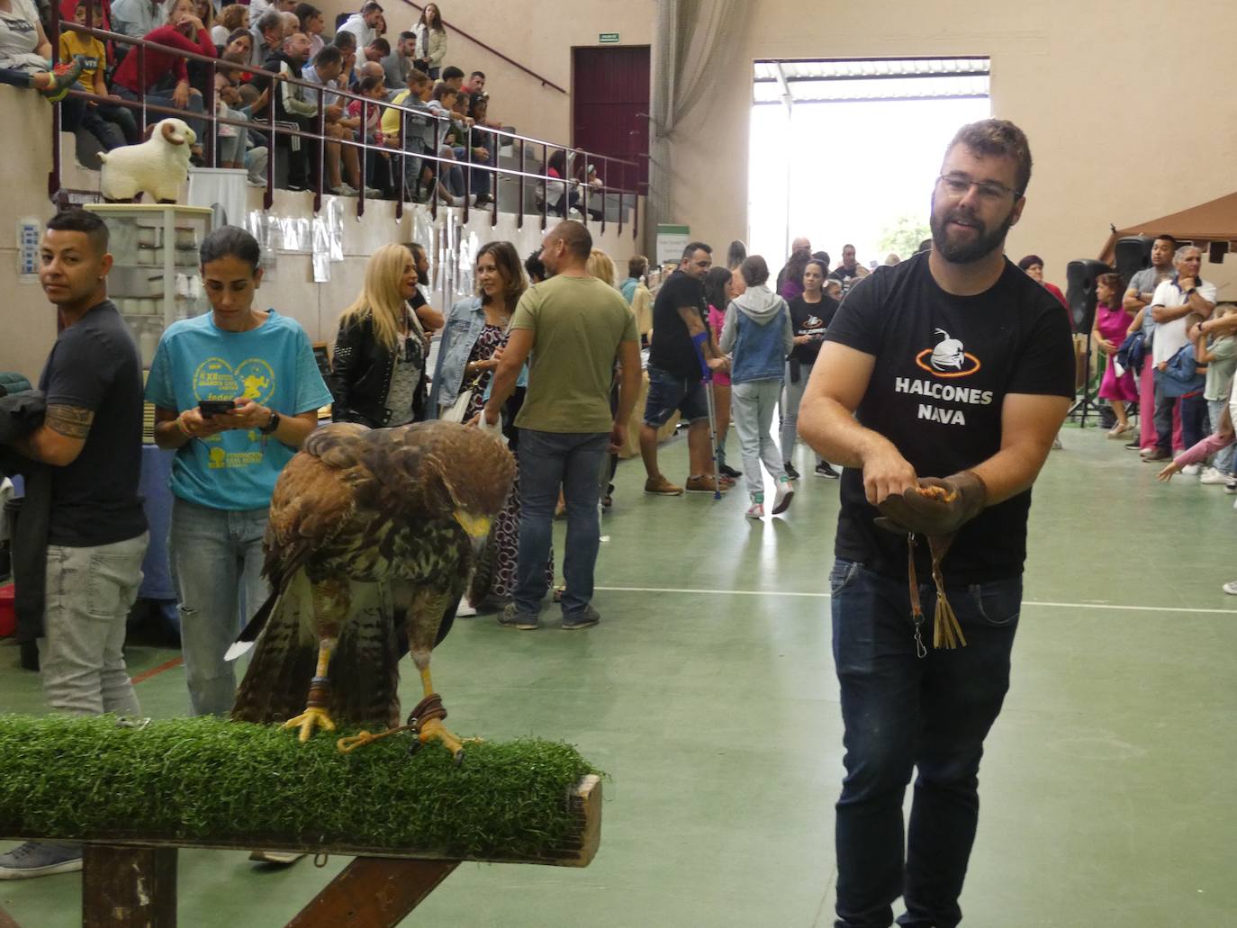 Multitudinaria primera feria Villa Aurea de Villoria