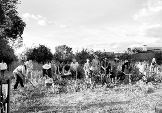 CONCURSO 'Así somos en mi pueblo'. Recolectando en los huertos de Dios le Guarde