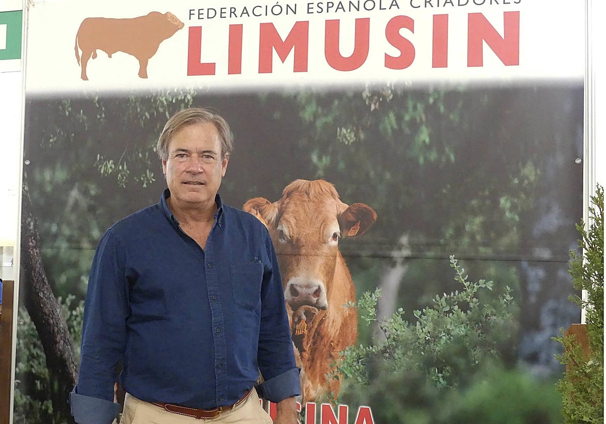 Pedro Domecq, presidente de la Federación Española de Criadores de Limusín