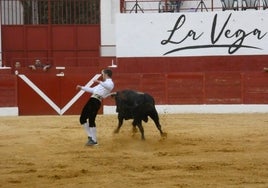 Concurso de recortes en Villoria