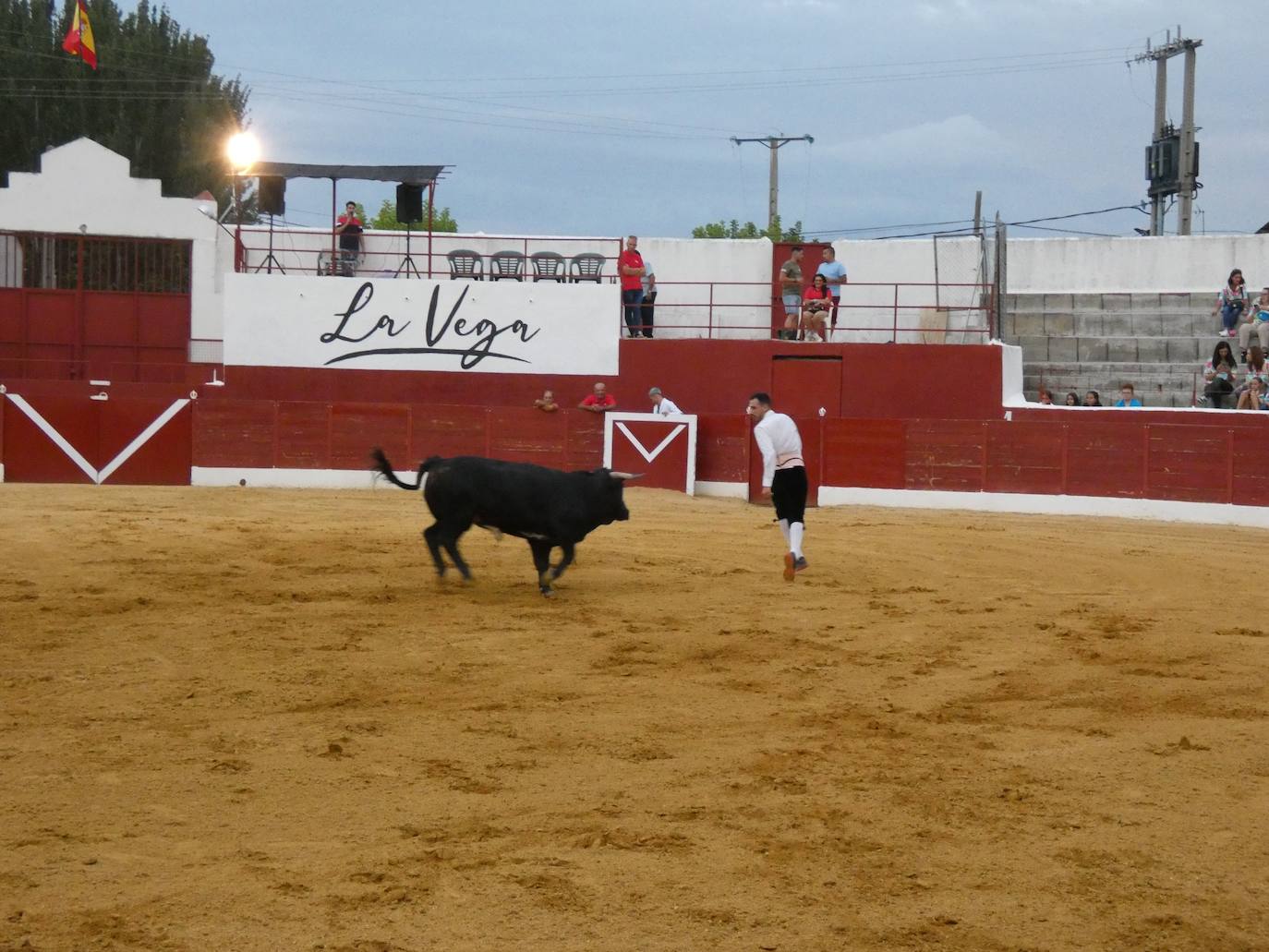 Tarde de riesgo y valentía en el concurso de recortes de Villoria