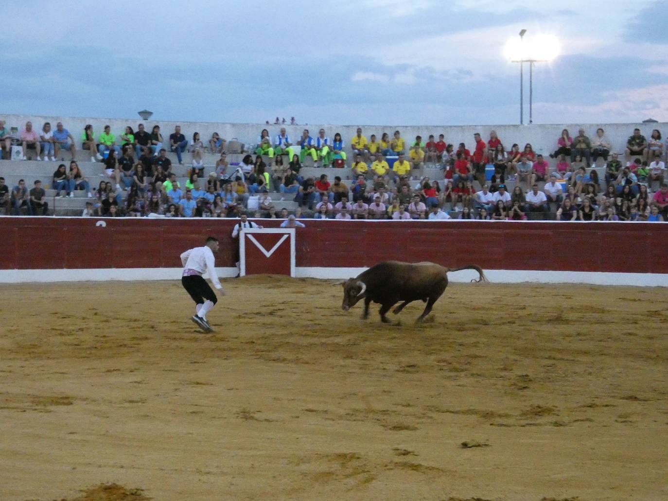 Tarde de riesgo y valentía en el concurso de recortes de Villoria