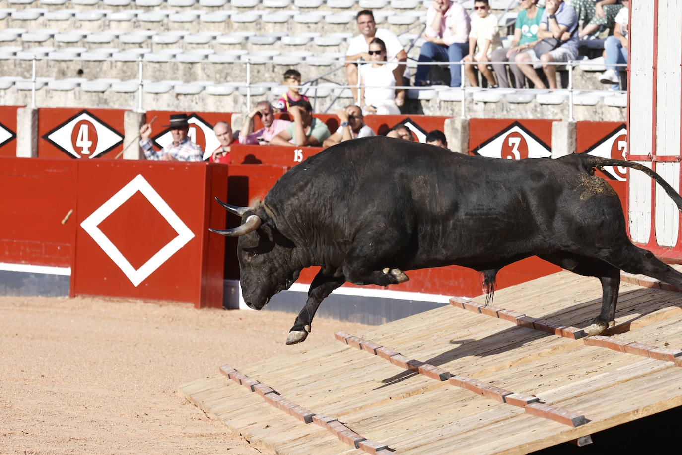 El Puerto y Vellosino sacan nota en el desenjaule