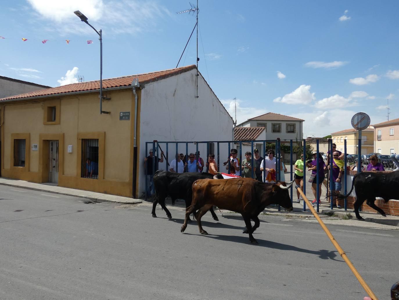 Diversión sin peligro en el segundo encierro urbano de Cantalapiedra
