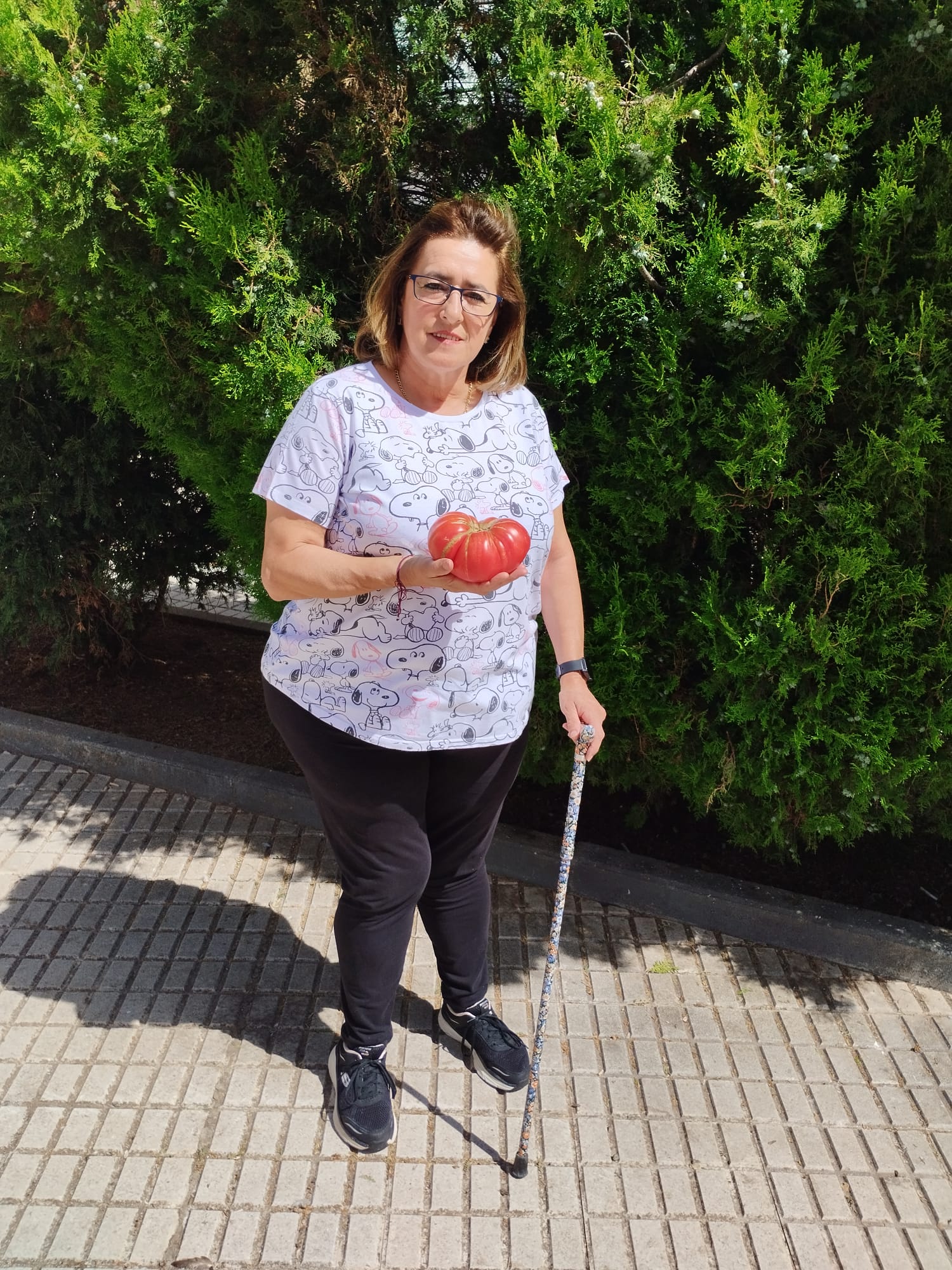 Así es el espectacular tomate XXXL vencedor del concurso de San Cristóbal