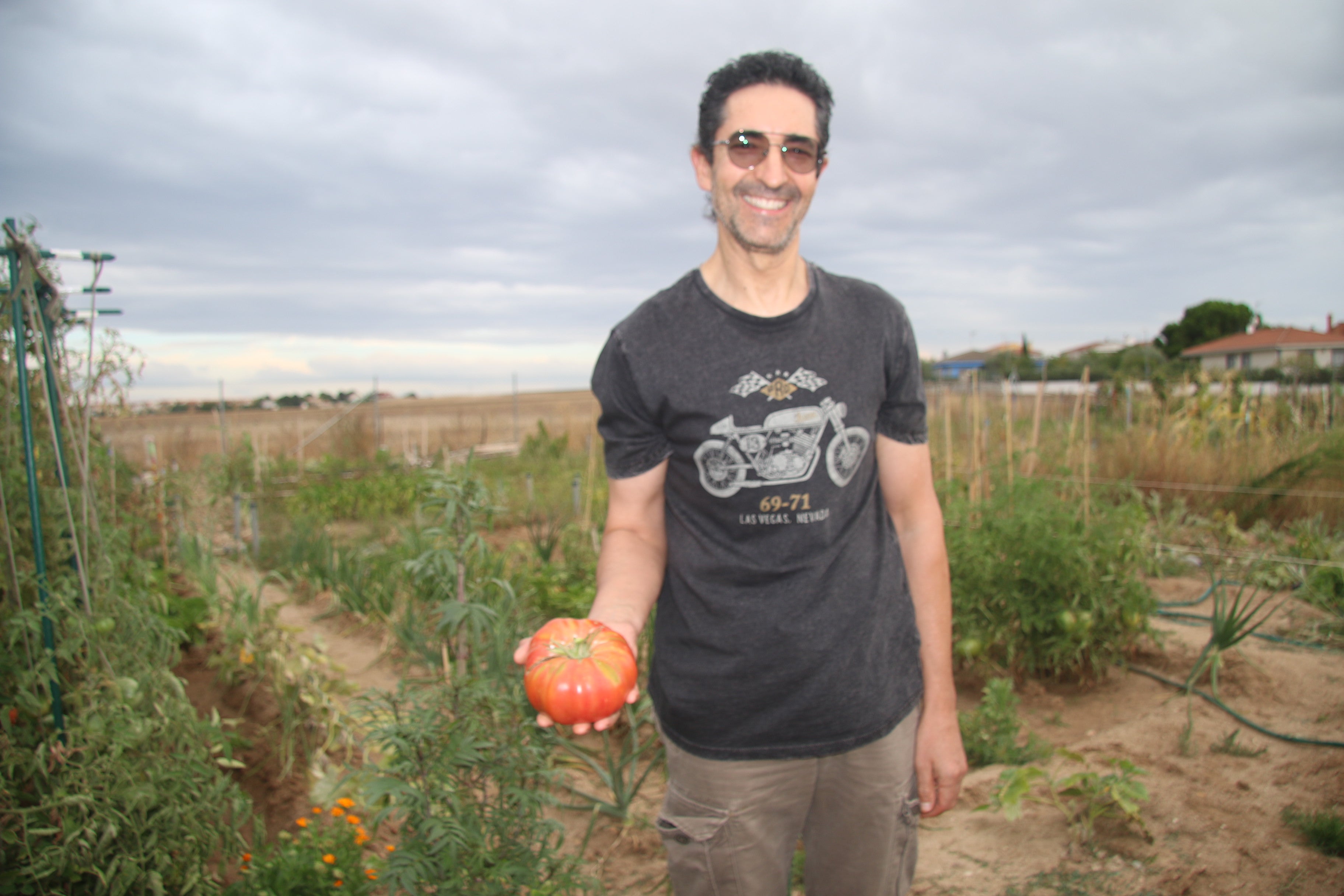 Así es el espectacular tomate XXXL vencedor del concurso de San Cristóbal