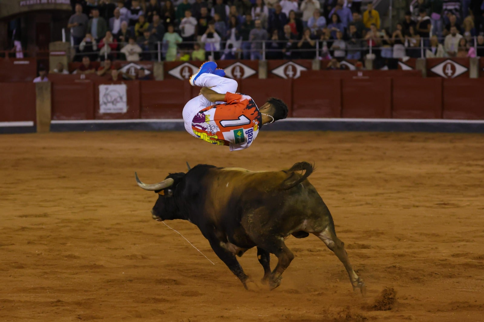 Las espectaculares imágenes del concurso de cortes en La Glorieta