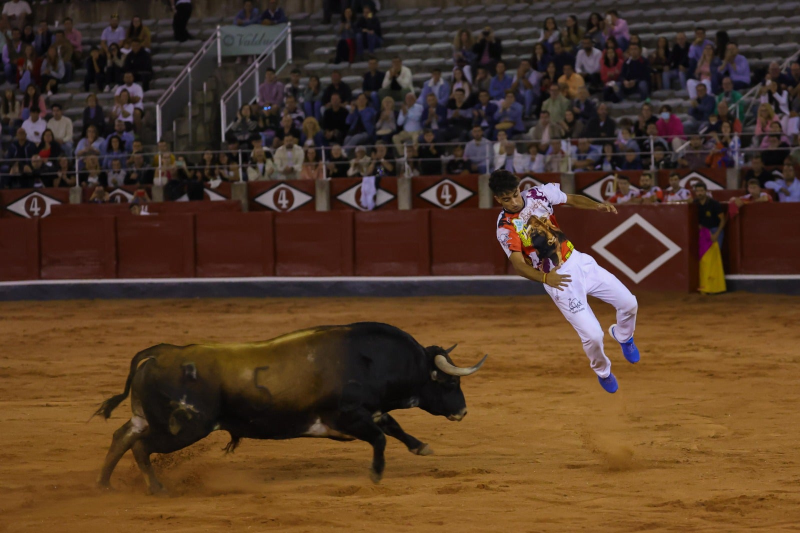 Las espectaculares imágenes del concurso de cortes en La Glorieta