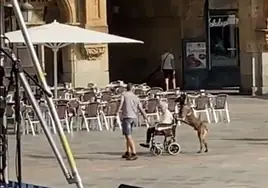 Un perro pasea a una anciana en silla de ruedas.