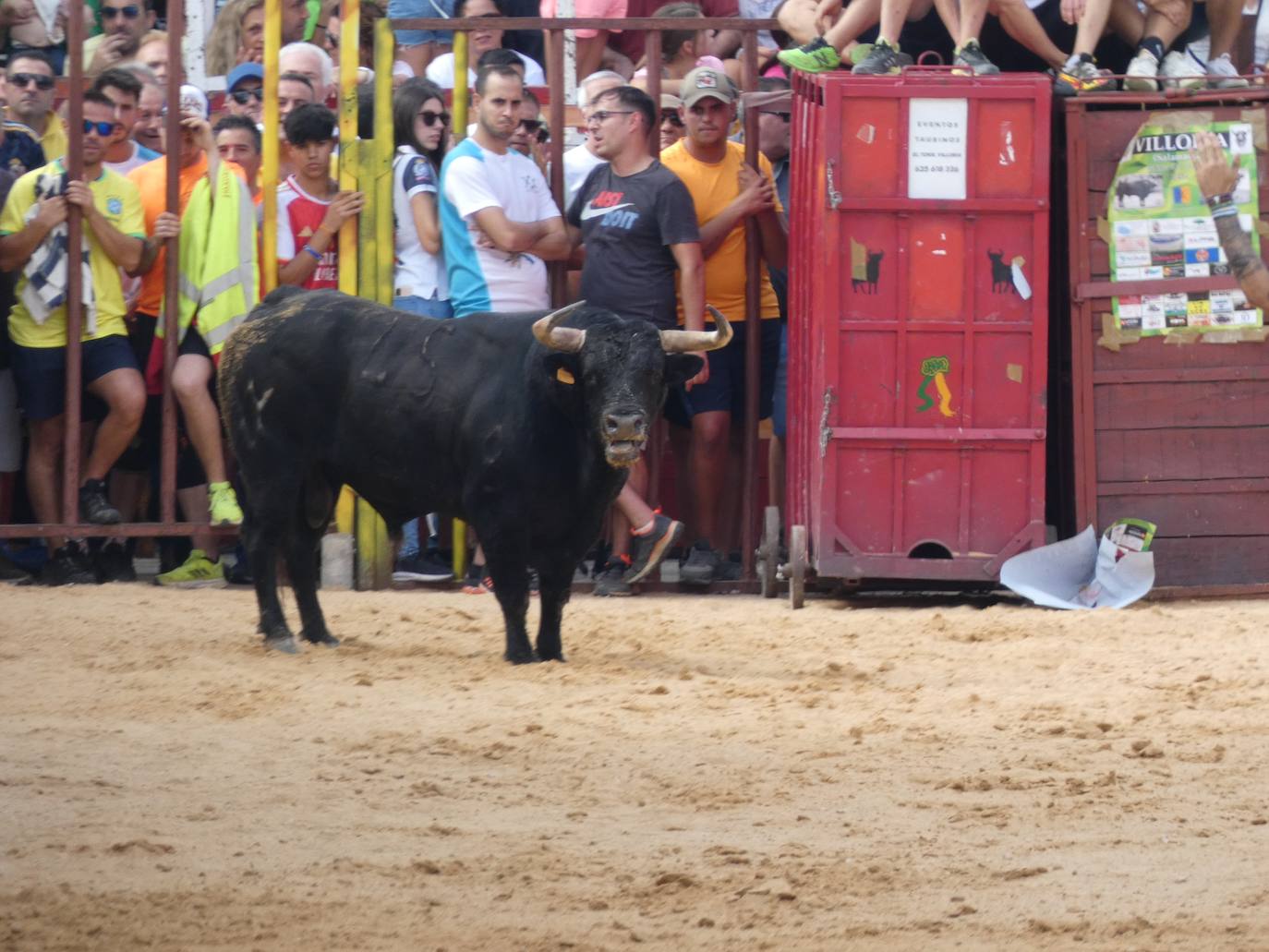 Los toros del cajón y la merienda de la vaca rematan las fiestas de Villoria