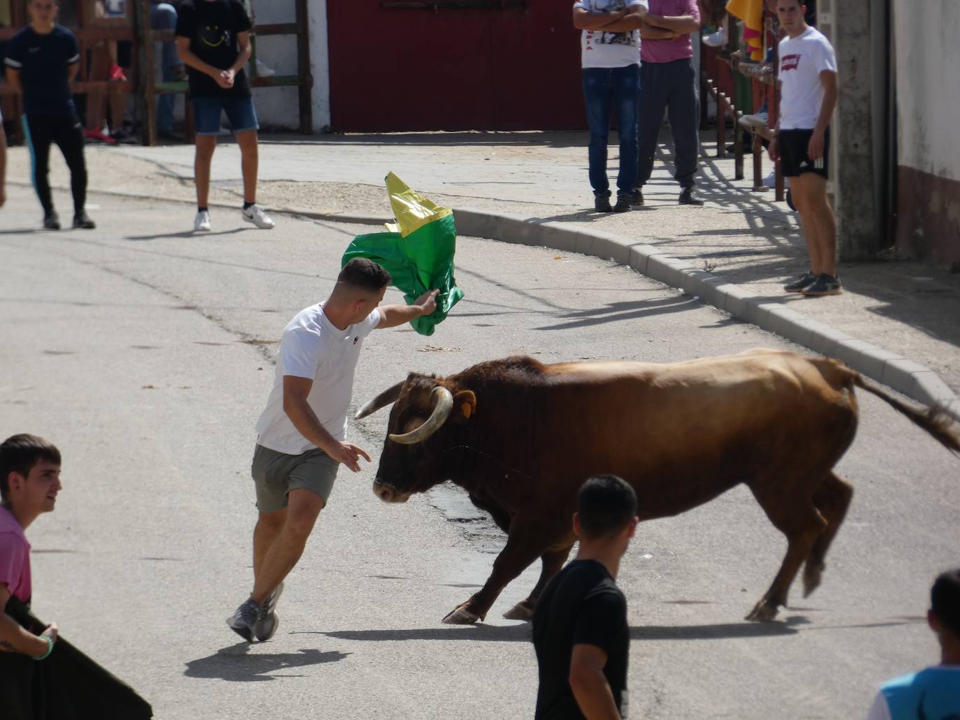 Los toros del cajón y la merienda de la vaca rematan las fiestas de Villoria