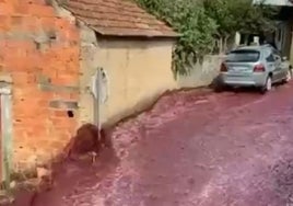 La 'riada de vino' en Anadia, Portugal.