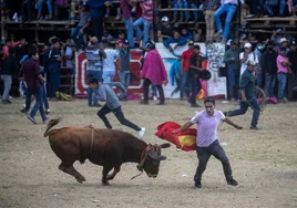 Personas participan en la celebración de los «Toros de pueblo».