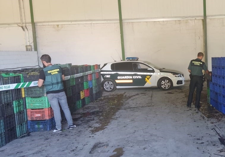 Intervenidos 19.600 kilos de uva foránea procedente de Valladolid para la DO Valdeorras