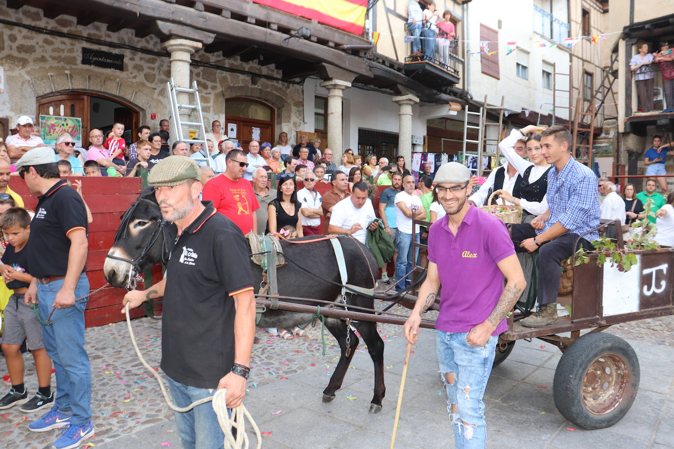 El toro no defrauda y llena San Esteban de la Sierra