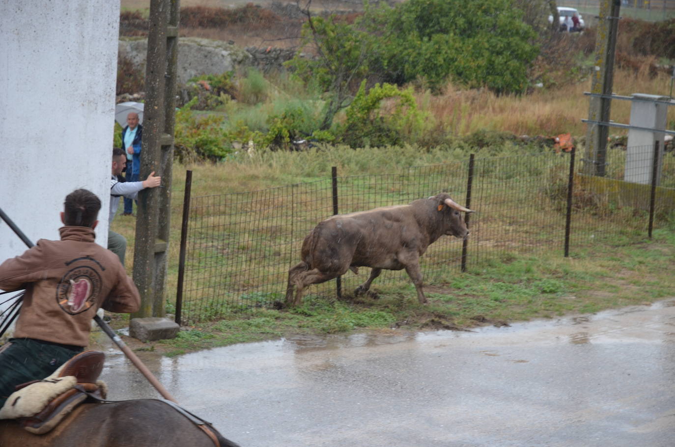 Tres encierros a caballo en uno en Barruecopardo