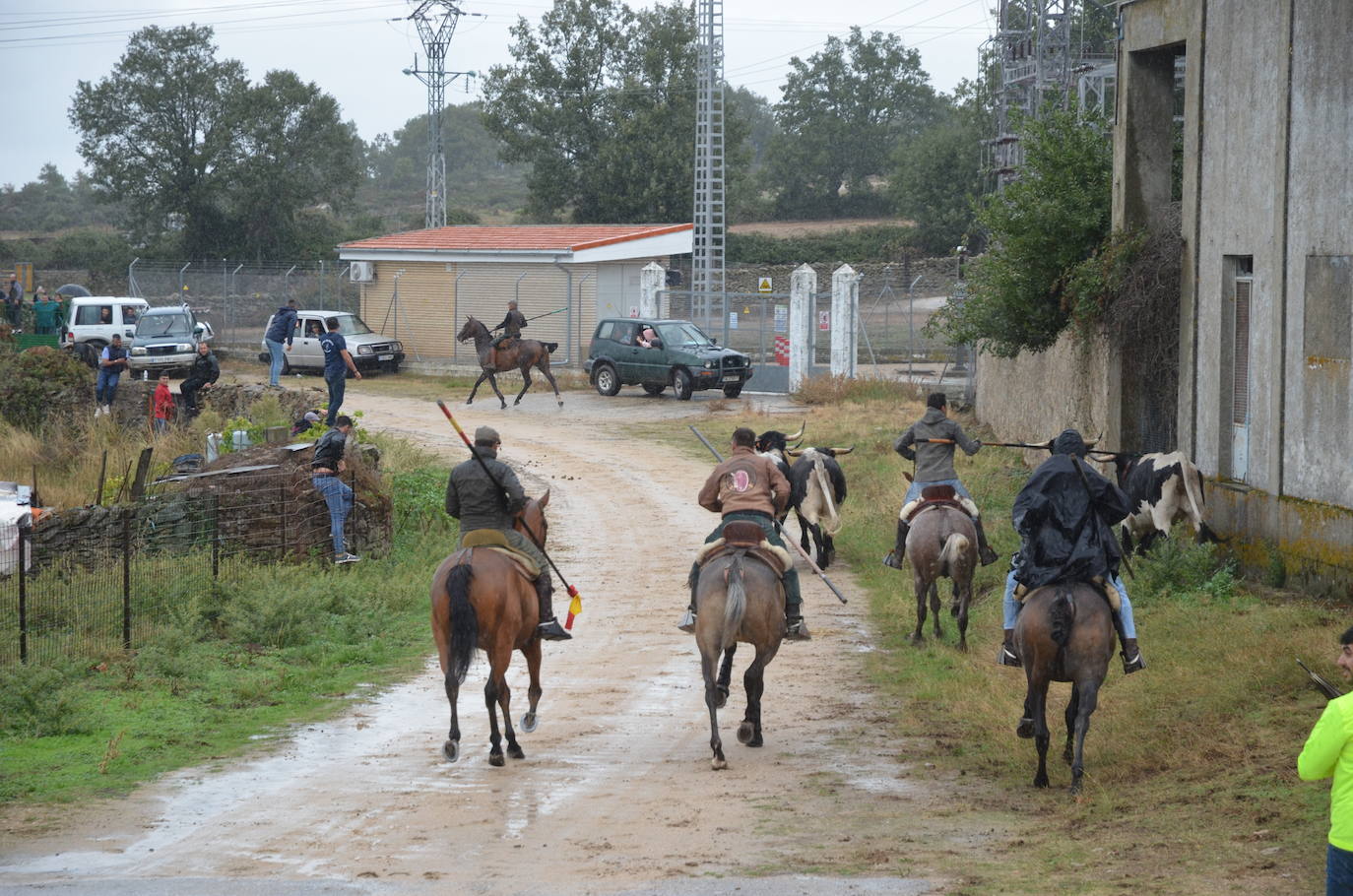 Tres encierros a caballo en uno en Barruecopardo