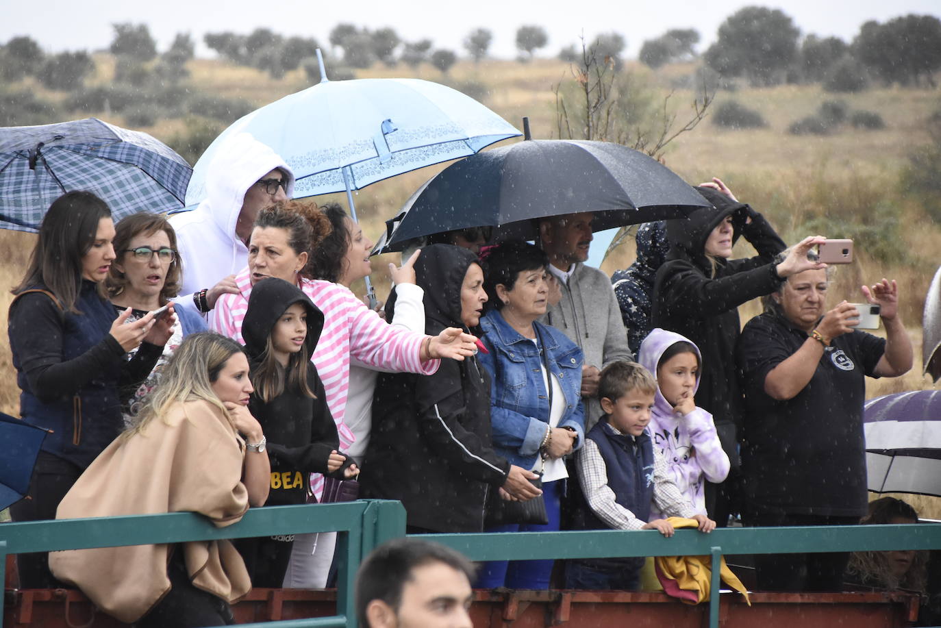 El agua no espanta ni a público ni a vacas en Aldehuela de Yeltes