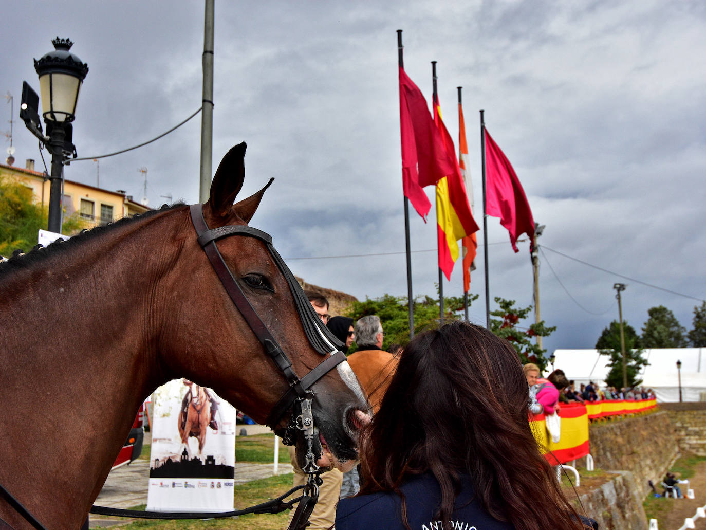 La lluvia obliga a aplazar gran parte de los actos de la Feria del Caballo de Ciudad Rodrigo