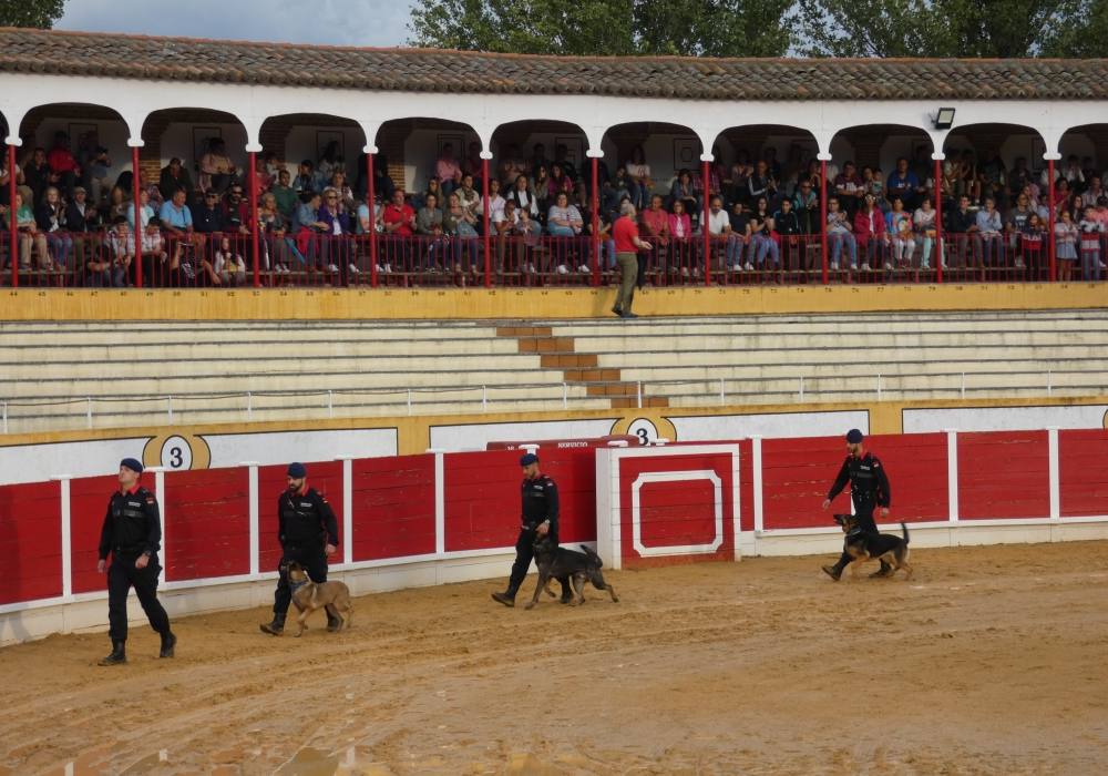 La Guardia Real se exhibe en La Florida de Peñaranda