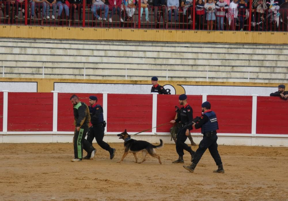 La Guardia Real se exhibe en La Florida de Peñaranda