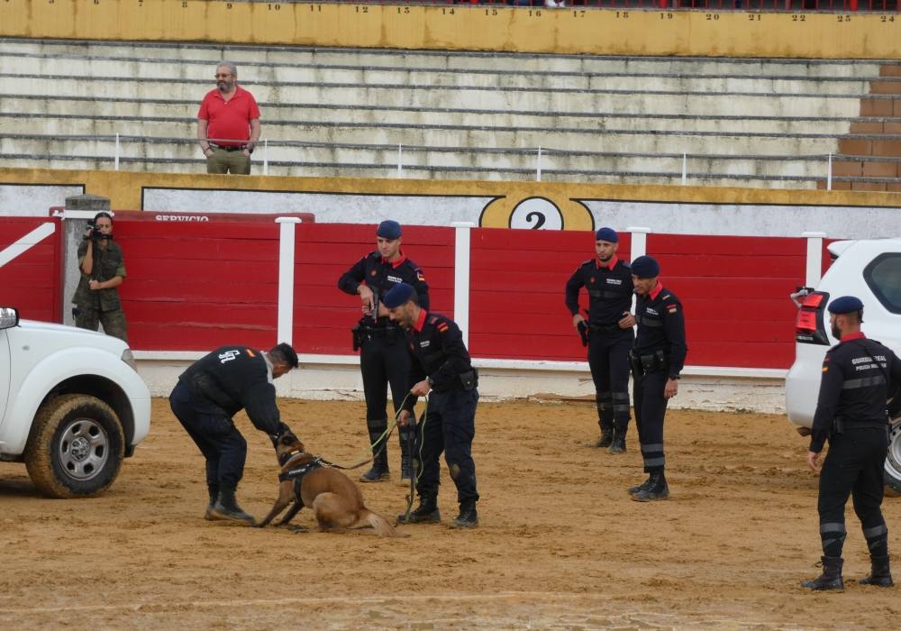 La Guardia Real se exhibe en La Florida de Peñaranda