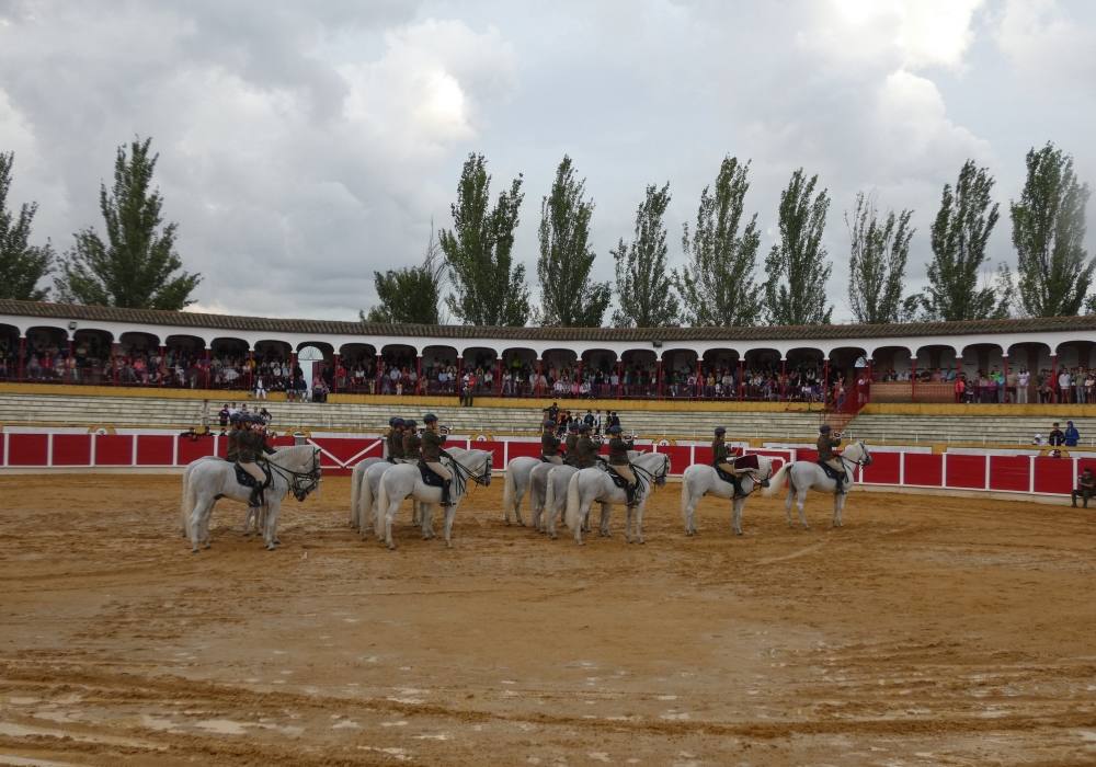 La Guardia Real se exhibe en La Florida de Peñaranda