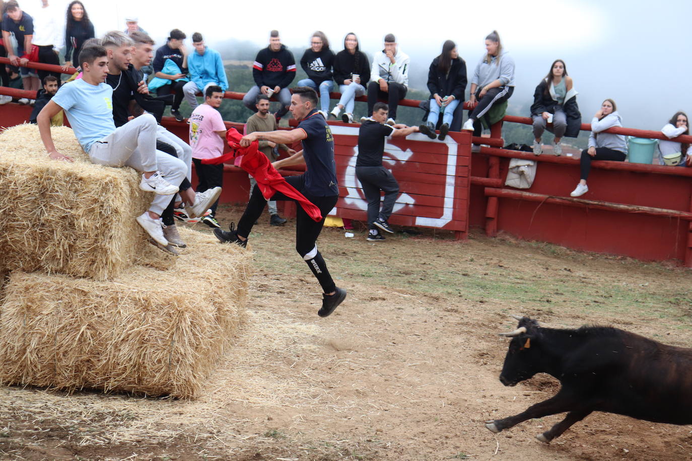 La lluvia no puede con las vaquillas de Colmenar de Montemayor