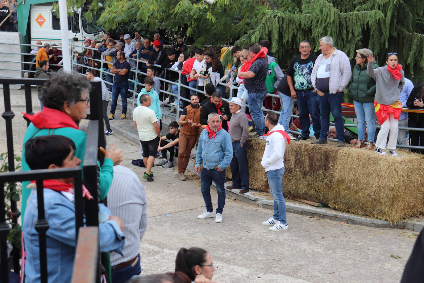 Cristóbal llena en la vuelta de las vaquillas a sus fiestas