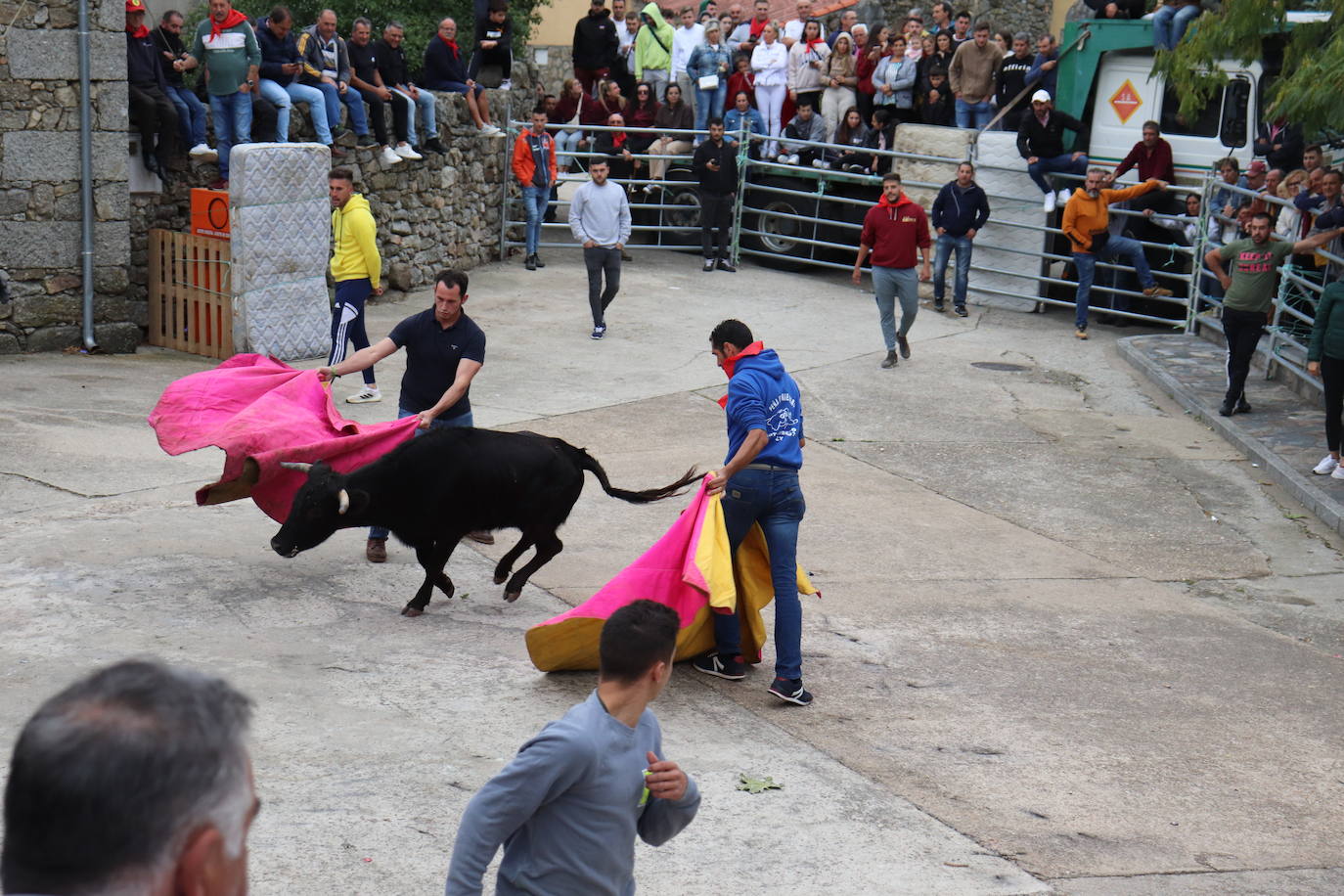 Cristóbal llena en la vuelta de las vaquillas a sus fiestas