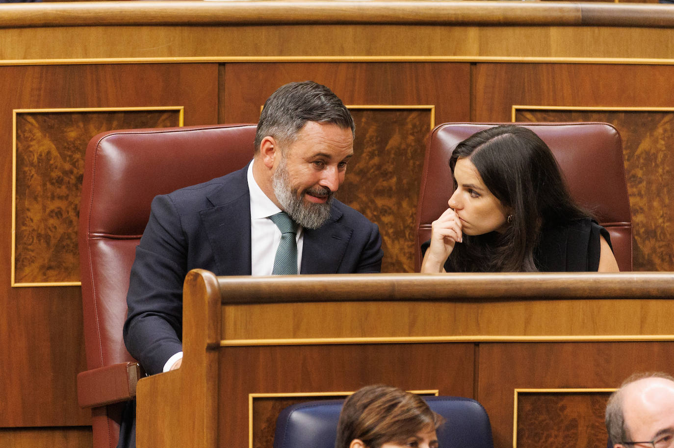 Santiago Abascal y Pepa Millán en la Sesión Constitutiva de la XV Legislatura