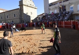 El público, que llenó las gradas de la nueva plaza de toros de Tamames, y los mozos disfrutaron con las vaquillas de la ganadería local de El Puerto de San Lorenzo